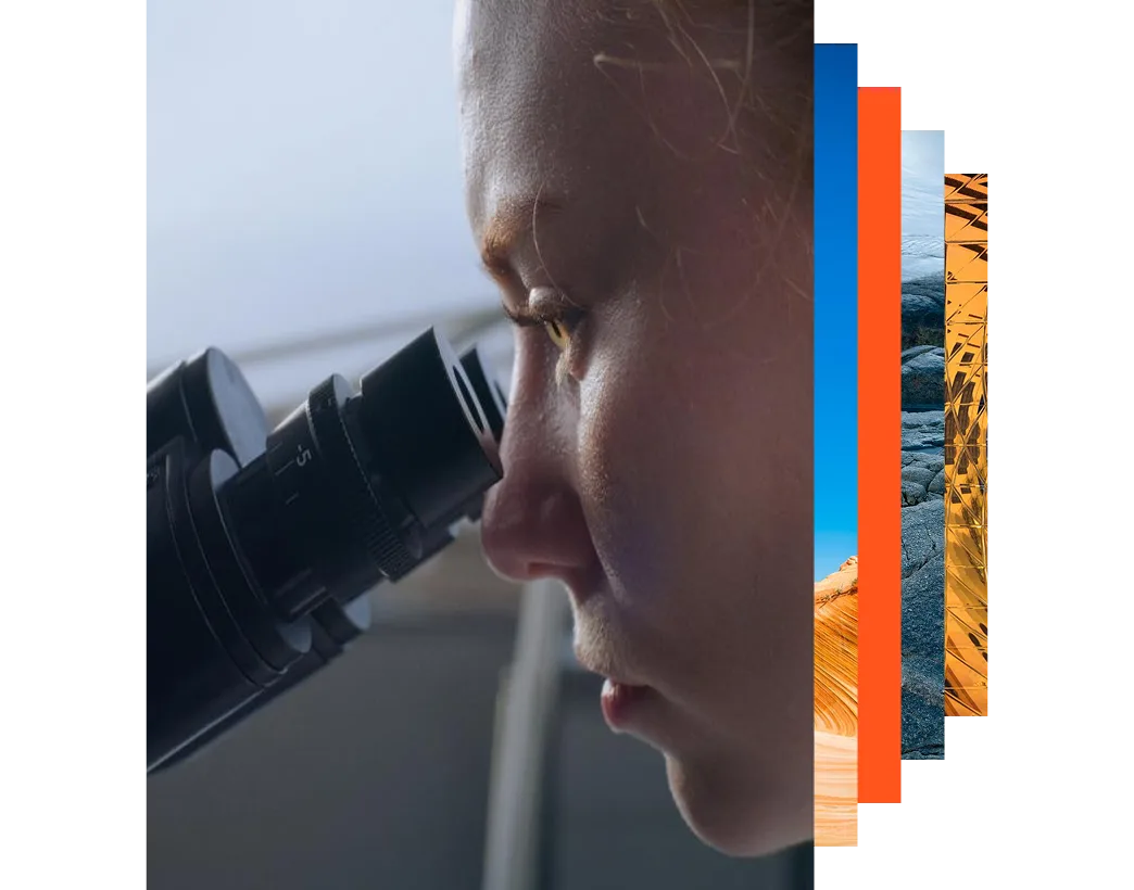 Our Vision